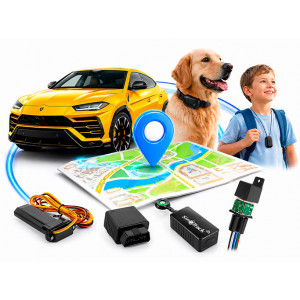 GPS-моніторинг та контроль